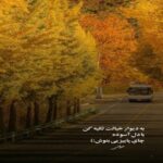 دانلود آهنگ خیابونا به ما اینو کرد دیکته لاشی عین سگ ریخته از شایع دانلود آهنگ خیابونا به ما اینو کرد دیکته لاشی عین سگ ریخته از شایع